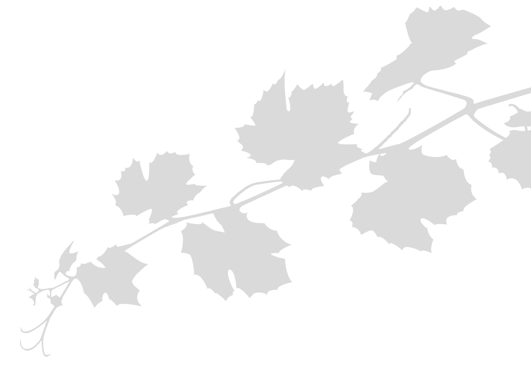 Rameau de vin gris inversé